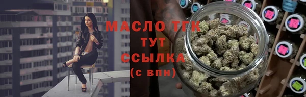 гашик Карпинск