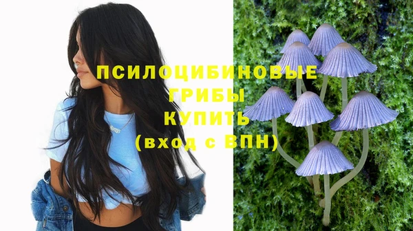 прущие грибы Касимов