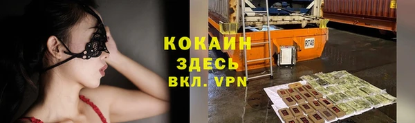 прущие грибы Касимов
