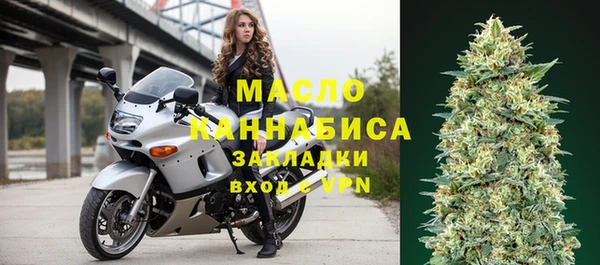 гашик Карпинск