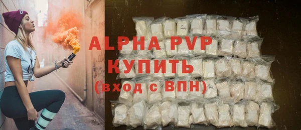 прущие грибы Касимов